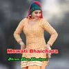 Mewati Bhaichara